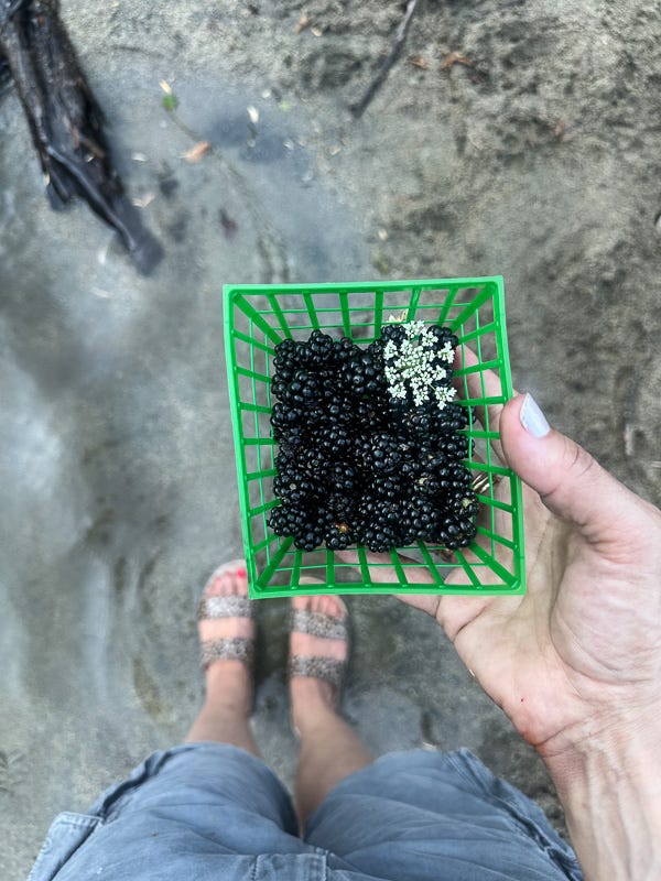 My Everyday Life Week 33 of 2025- Tracy Benjamin of Shutterbean.com