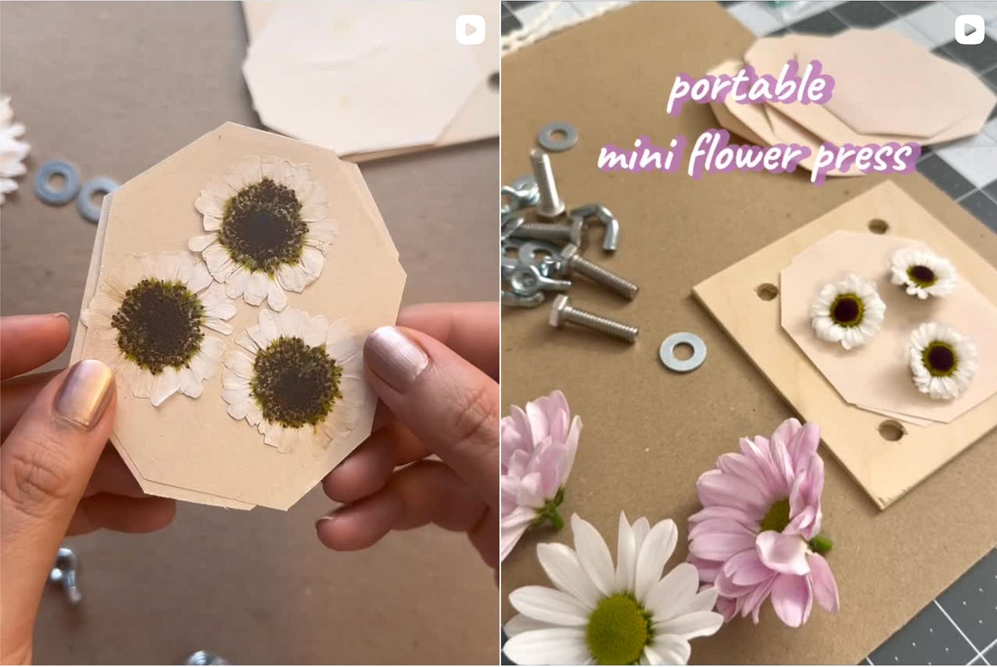 on the left, a closeup of three dried flowers. on the right, an image of the fresh flowers in the mini press ready to be assembled