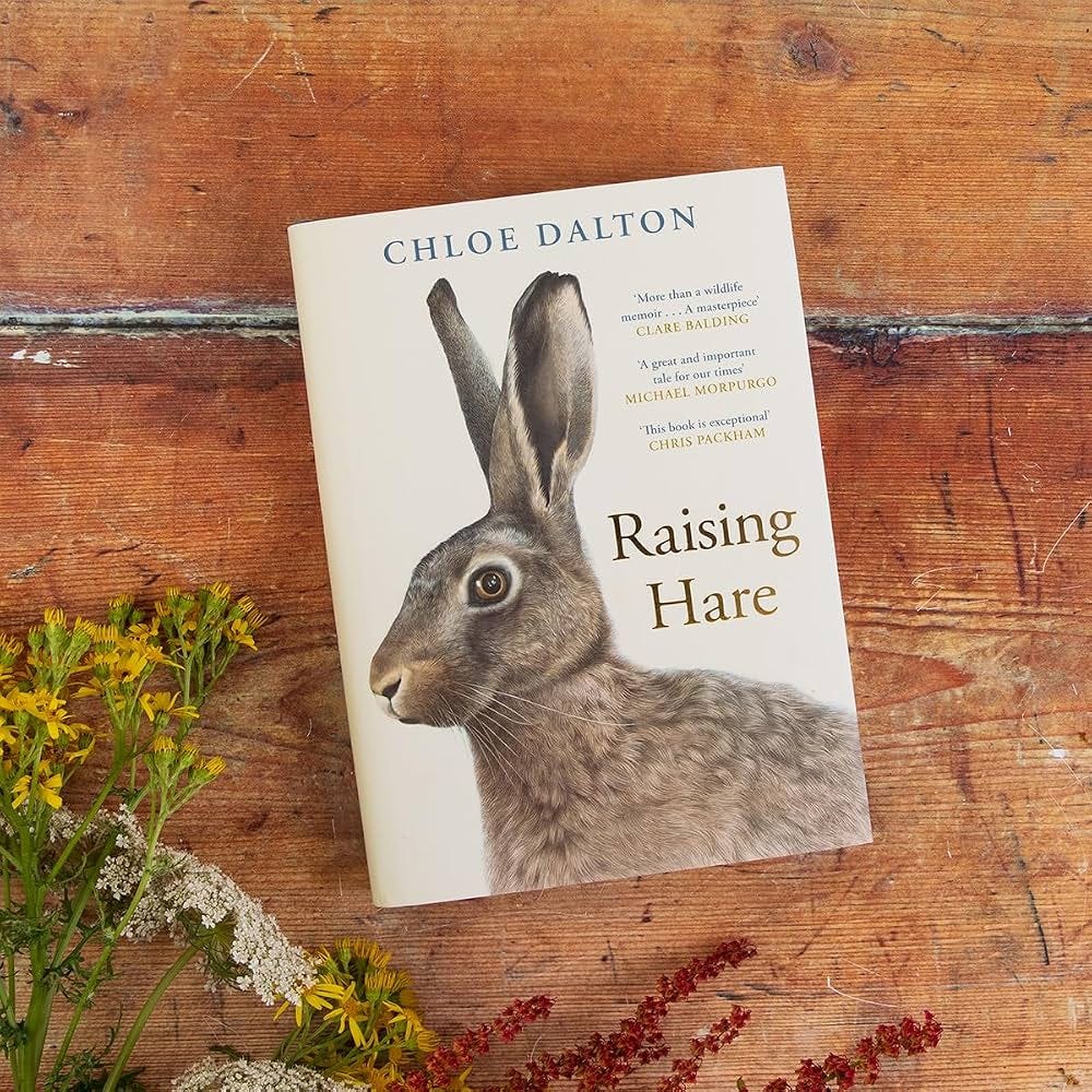 Amazon.com: Canongate Books Raising Hare The heart-warming true story of an  unlikely friendship.: 9781805302711: Chloe Dalton: Books