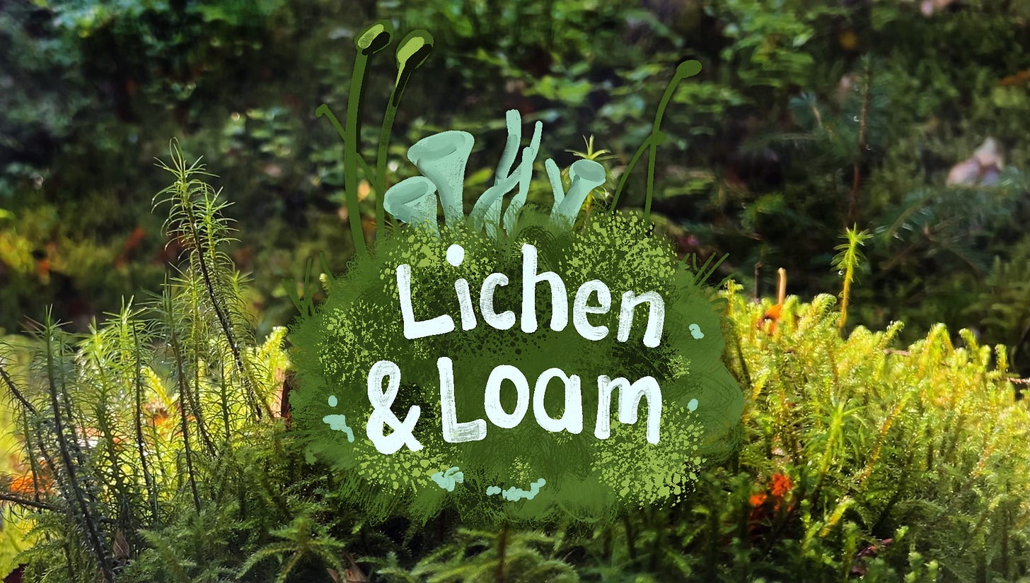 Handwritten text saying "Lichen & Loam" superimposed on an illustration of a mossy clump with pixie cup lichens growing from it, superimposed on a photo of mosses. Handwritten text saying "Lichen & Loam" superimposed on an illustration of a mossy clump with pixie cup lichens growing from it, superimposed on a photo of mosses.