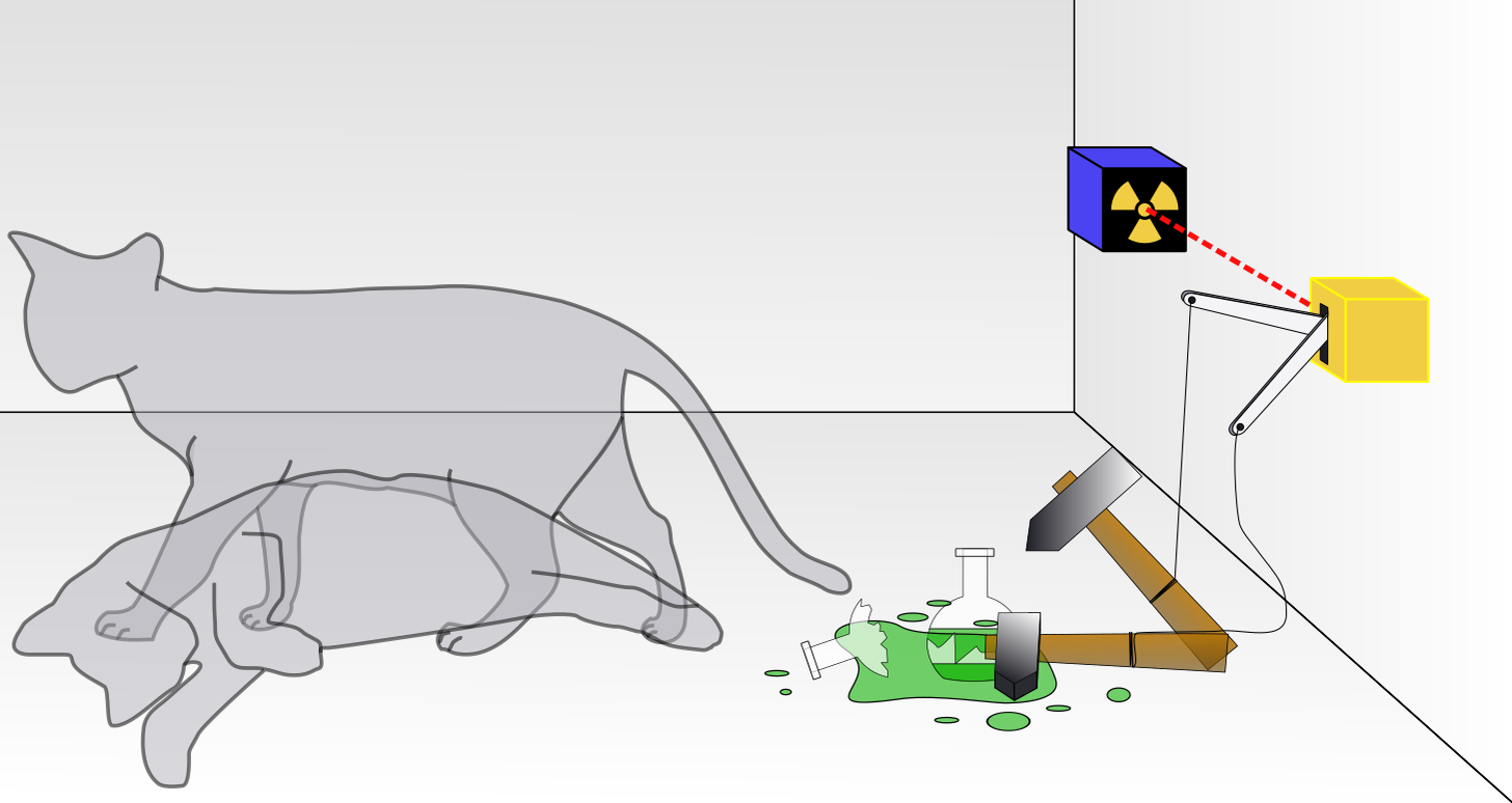 Chat de Schrödinger — Wikipédia
