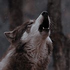 wolf song (poem)