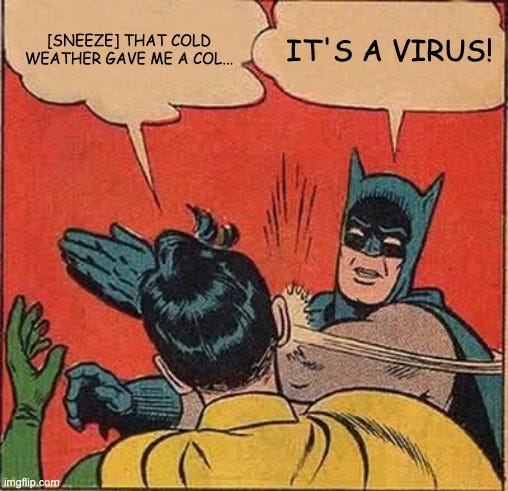 Meme of batman slapping robin. Robin is about to say that the cold weather gave him a cold, but Batman slaps him saying it's a virus!