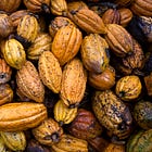 Photo Essay: Cacao Chuncho in La Convención, Peru