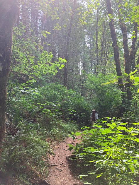 Trees and forests in Oregon