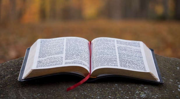 Discerning the Difference Between Biblical Truth and Error - Charisma  Magazine Online