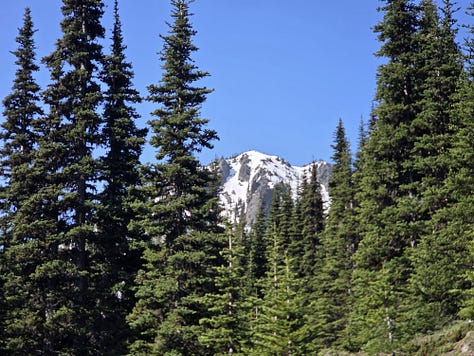 Olympic Mountains ski tour