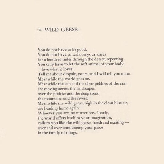 wild geese — emily blincoe