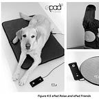 Surviving Healthcare