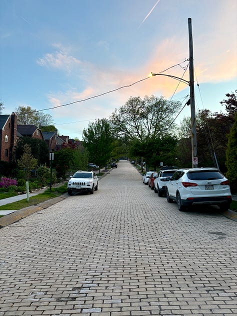Photos depicting a neighborhood street during one of the author's nightly walks with her husband and a dinner of rice, chicken, and veggies.
