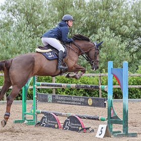Decisive win for Zoe at Connell Hill SJI show