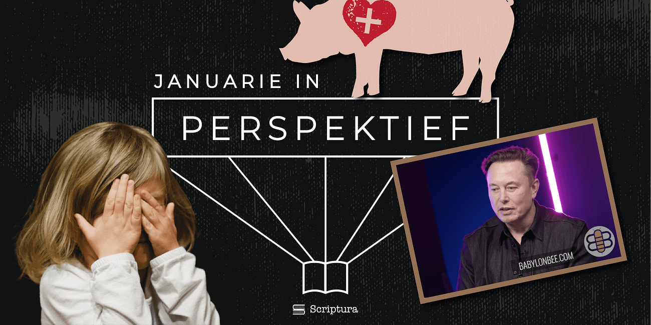 Perspektief: Januarie 2022