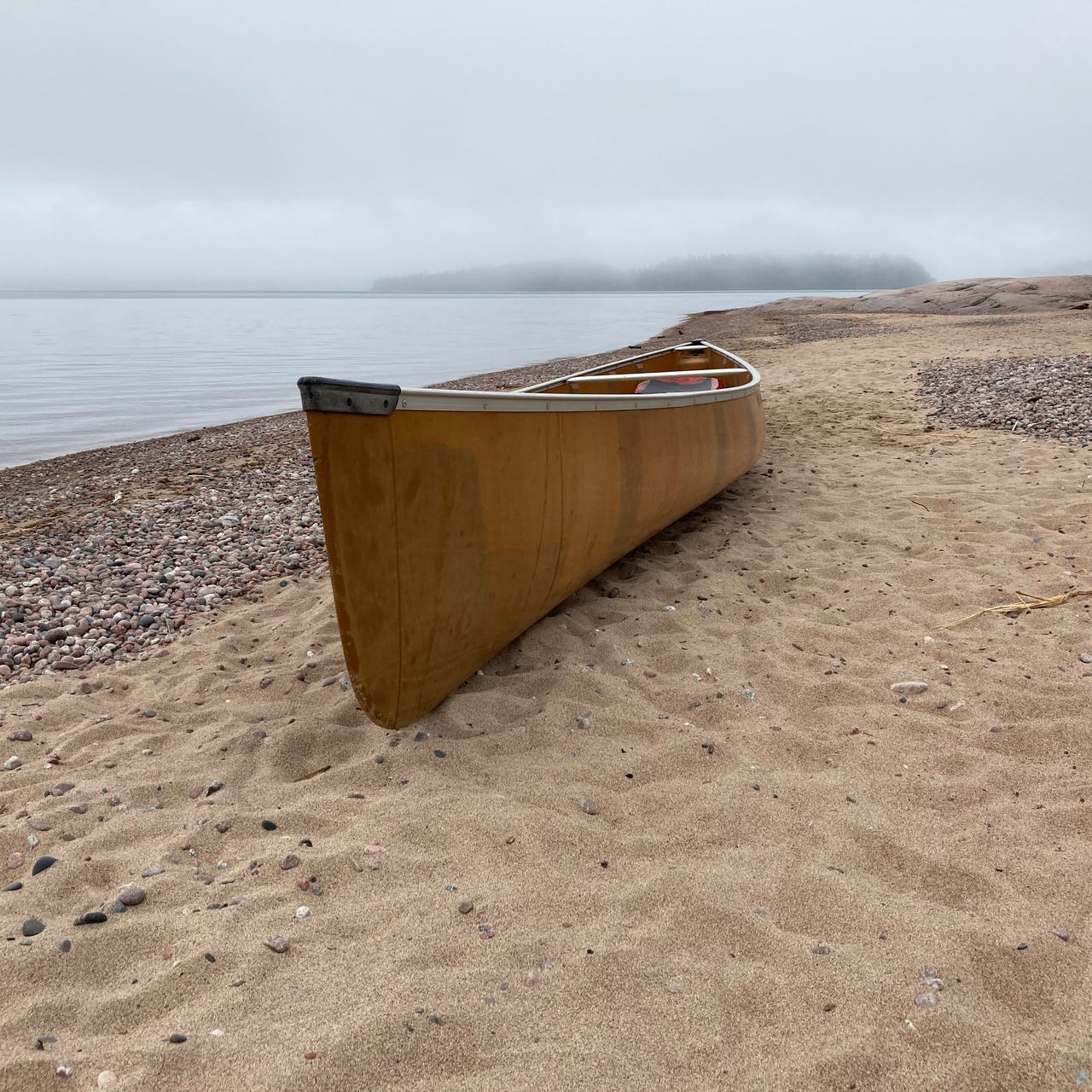 Resourceful Human Newsletter 