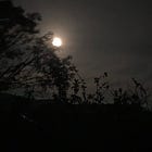 Lunar love note