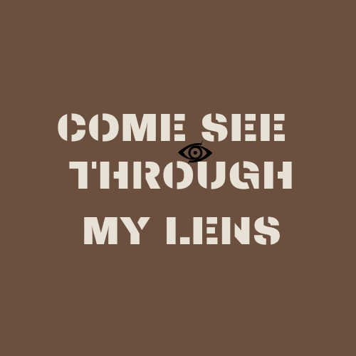 Come See Through My Lens