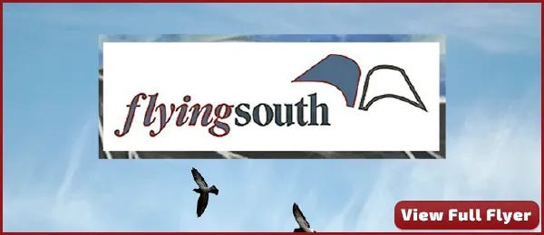 Banner with the Flying South logo, featuring the words ‘flyingsouth’ and an abstract illustration of an open book. The background shows a blue sky with birds in flight. A red button in the lower right corner reads ‘View Full Flyer.’