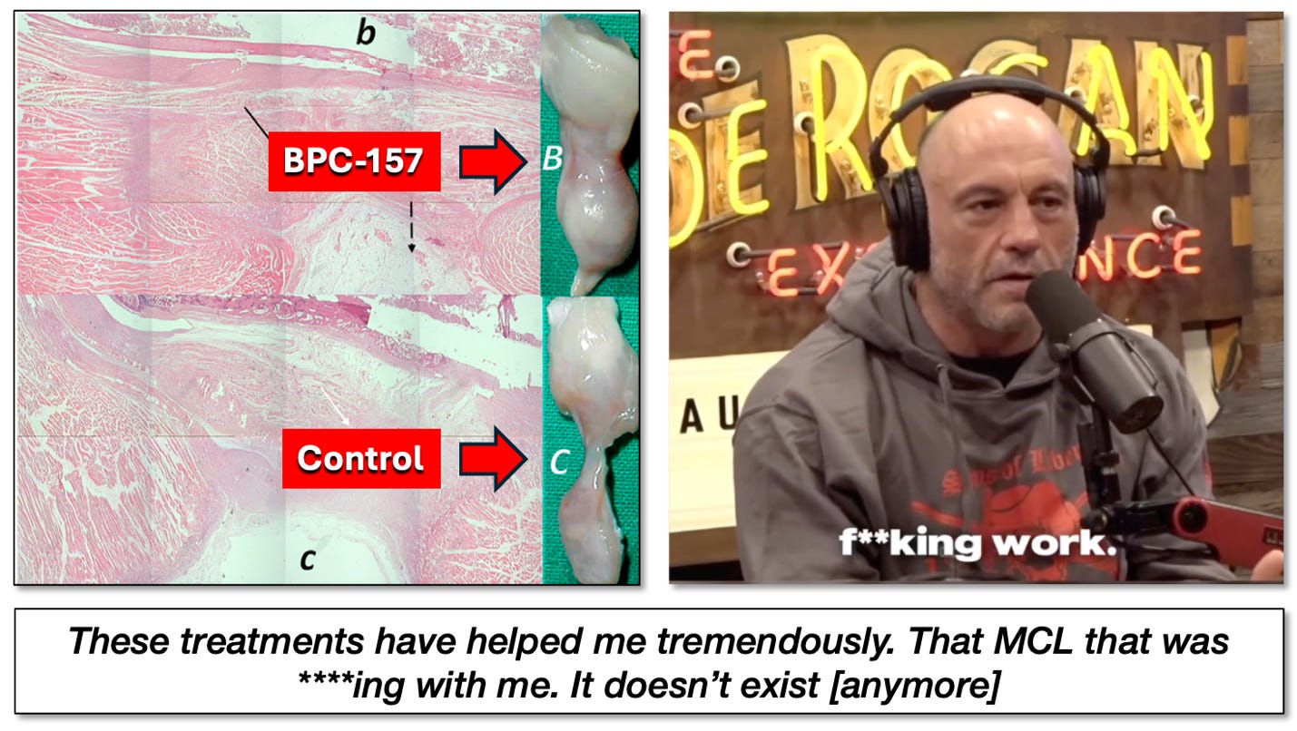 what does bpc 157 and tb500 do BPC 157 / TB500 Blend 10mg | Research Peptide what does bpc 157 and tb500 do BPC 157 / TB500 Blend 10mg | Research Peptide