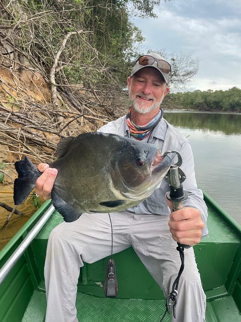 Shovel head catfish, red tail catfish and black piranha, caught while at Agua Boa Amazon Lodge in Brazil.