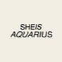 she is aquarius's avatar