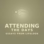 Attending the Days: Essays from Lifelook