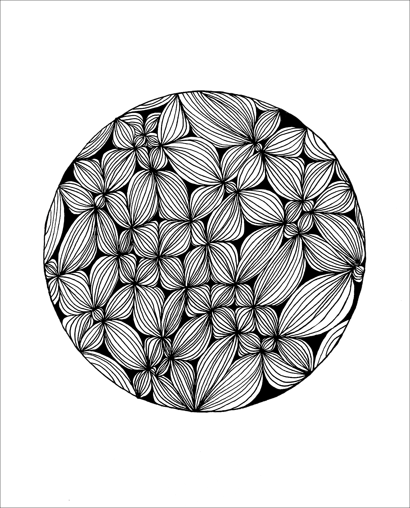 Black drawing on white paper of leaf like shapes intertwined with each other