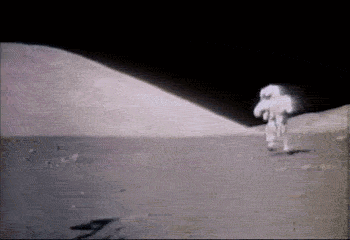 https://media.giphy.com/media/3cJucqJLw37vq/giphy.gif