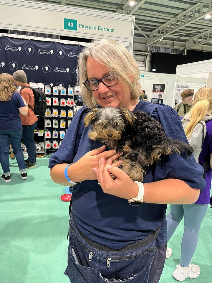 photos of women holding a Yorkshire terrier puppy