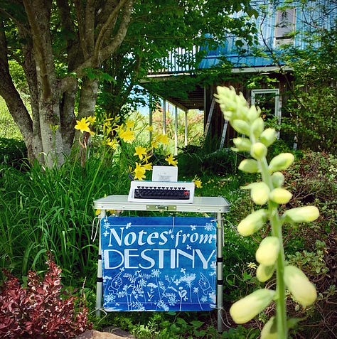 three photos - a typewriter platen with ghost text, a typewriter in a summer garden, and Ami McKay with a typewriter in a garden