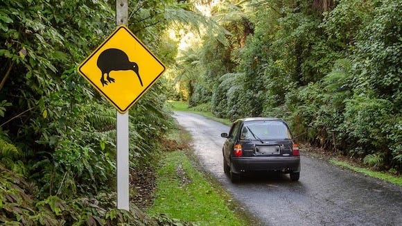 Road sign alerting drivers to slow down for kiwi