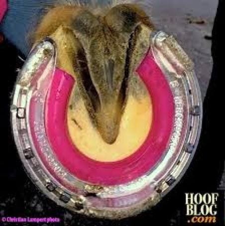 snow horseshoe snow horseshoe