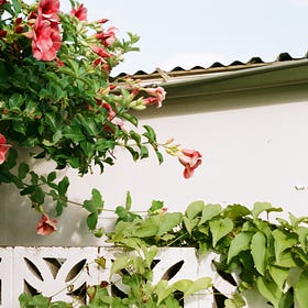 Fujicolor 100 (Fuji Industrial) film