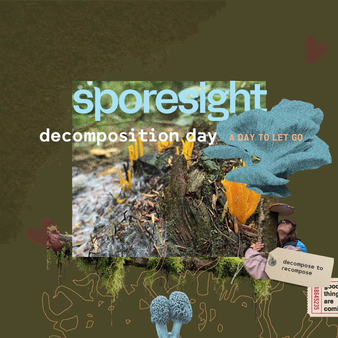 Decomposition Day flyer