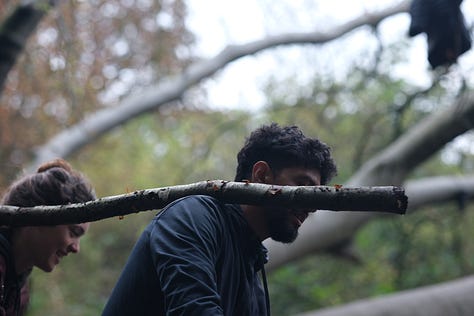 Treeverse Workshop in Hamstead Heath