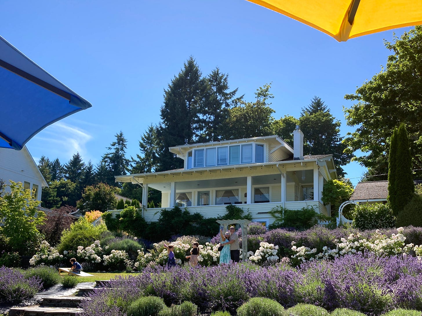 A photo of Lavender Hill Farm in full bloom