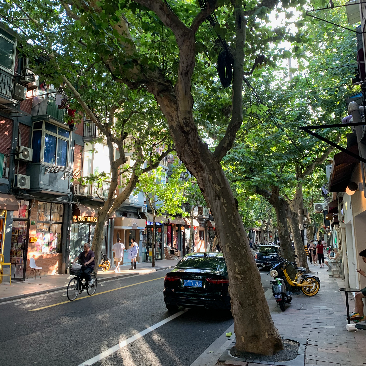 IMG_2764.png IMG_2764.png