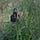Funmi's Substack 🌿