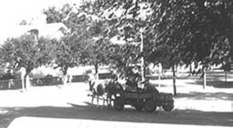 A person driving a horse drawn carriage

AI-generated content may be incorrect.