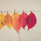 52. Todo lo que trae el otoño