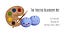 The Frosted Blueberry Art Newsletter