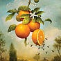 The Orange & Bee's avatar