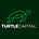 Turtle Capital by Adrià Rivero