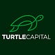 Turtle Capital by Adrià Rivero