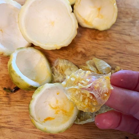 Steps of processing liliko'i fruit rind
