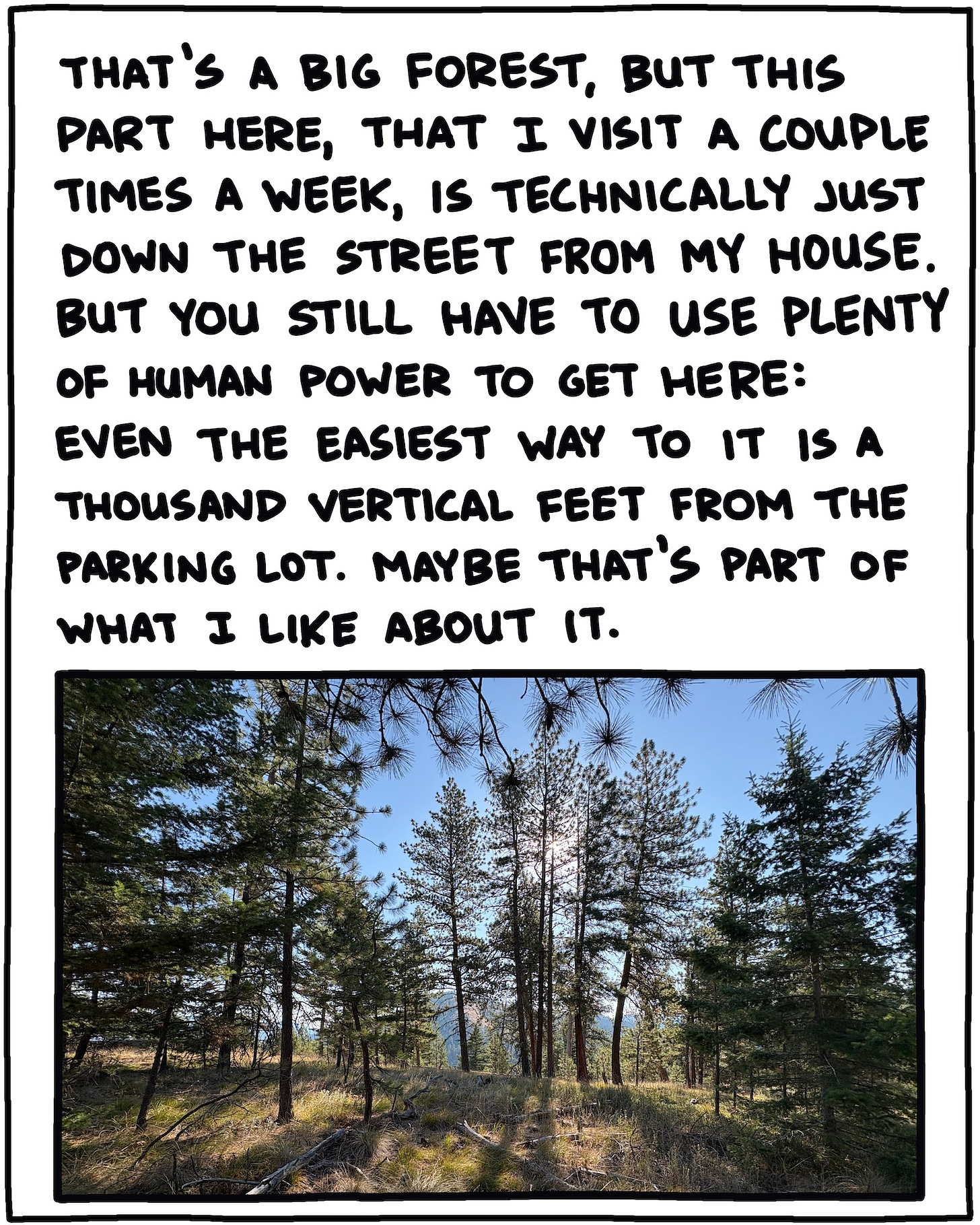 photo of trees and text: That’s a big forest, but this part here, that I visit a couple times a week, is technically right down the street from my house. But you still have to use plenty of human power to get here: Even the easiest way to it is a thousand vertical feet from the parking lot. Maybe that’s part of what I like about it.
