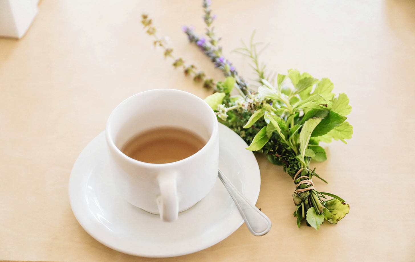 A white cup and saucer full of herb tea, with a spoon resting on the saucer and a bundle of herbs lying to the right.