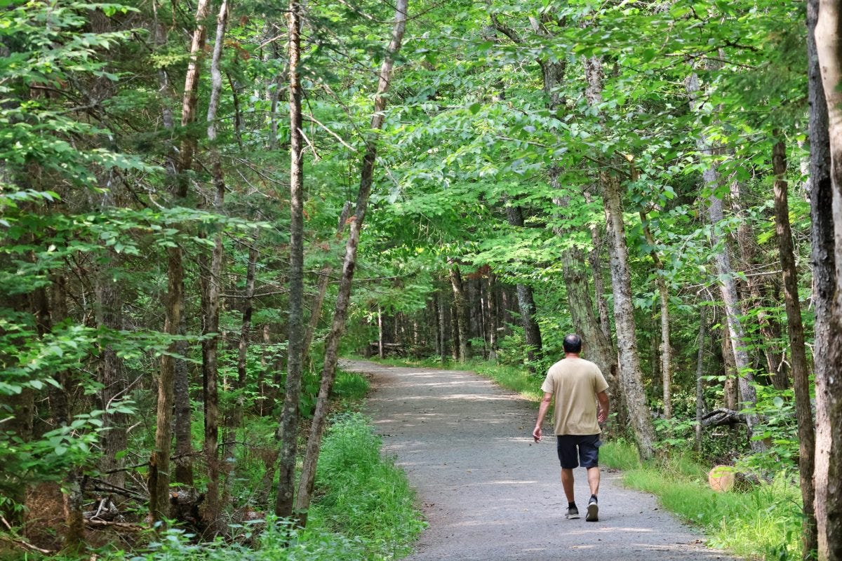 Nova Scotians told to stay out of the woods under new restrictions intended  to prevent wildfires - Halifax Examiner