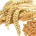 Making Friends with Fiber 🌾