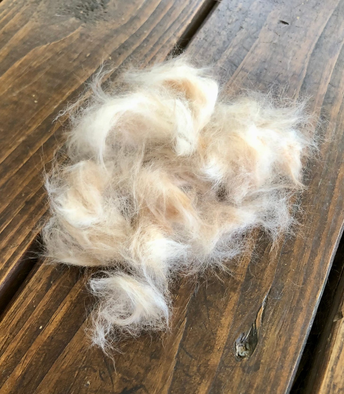 Rabbit fur