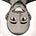 Tiyab K.'s avatar