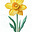 Daffodil's avatar